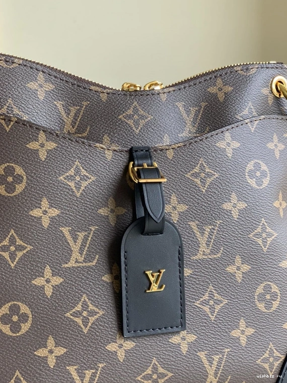 WIS ODÉON VUITTON PM LOUIS 0719